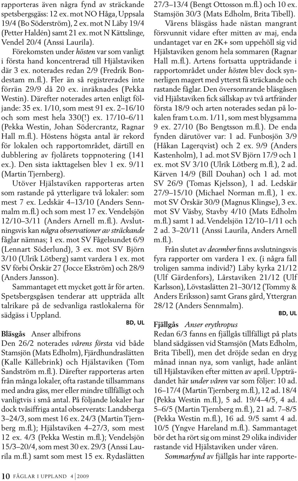 inräknades (Pekka Westin). Därefter noterades arten enligt följande: 35 ex. 1/10, som mest 91 ex. 2 16/10 och som mest hela 330(!) ex. 17/10 6/11 (Pekka Westin, Johan Södercrantz, Ragnar Hall m.fl.). Höstens högsta antal är rekord för lokalen och rapportområdet, därtill en dubblering av fjolårets toppnotering (141 ex.