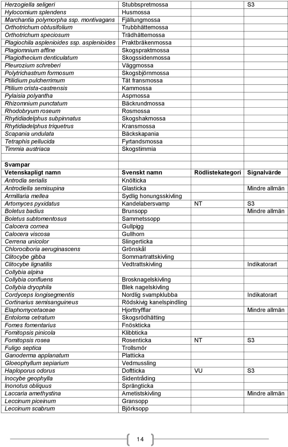 asplenioides Praktbräkenmossa Plagiomnium affine Skogspraktmossa Plagiothecium denticulatum Skogssidenmossa Pleurozium schreberi Väggmossa Polytrichastrum formosum Skogsbjörnmossa Ptilidium