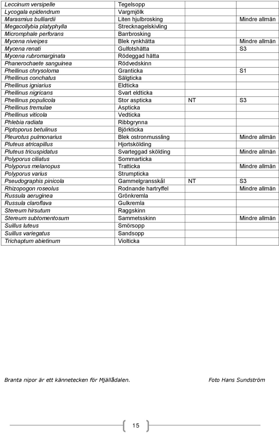 conchatus Sälgticka Phellinus igniarius Eldticka Phellinus nigricans Svart eldticka Phellinus populicola Stor aspticka NT S3 Phellinus tremulae Aspticka Phellinus viticola Vedticka Phlebia radiata