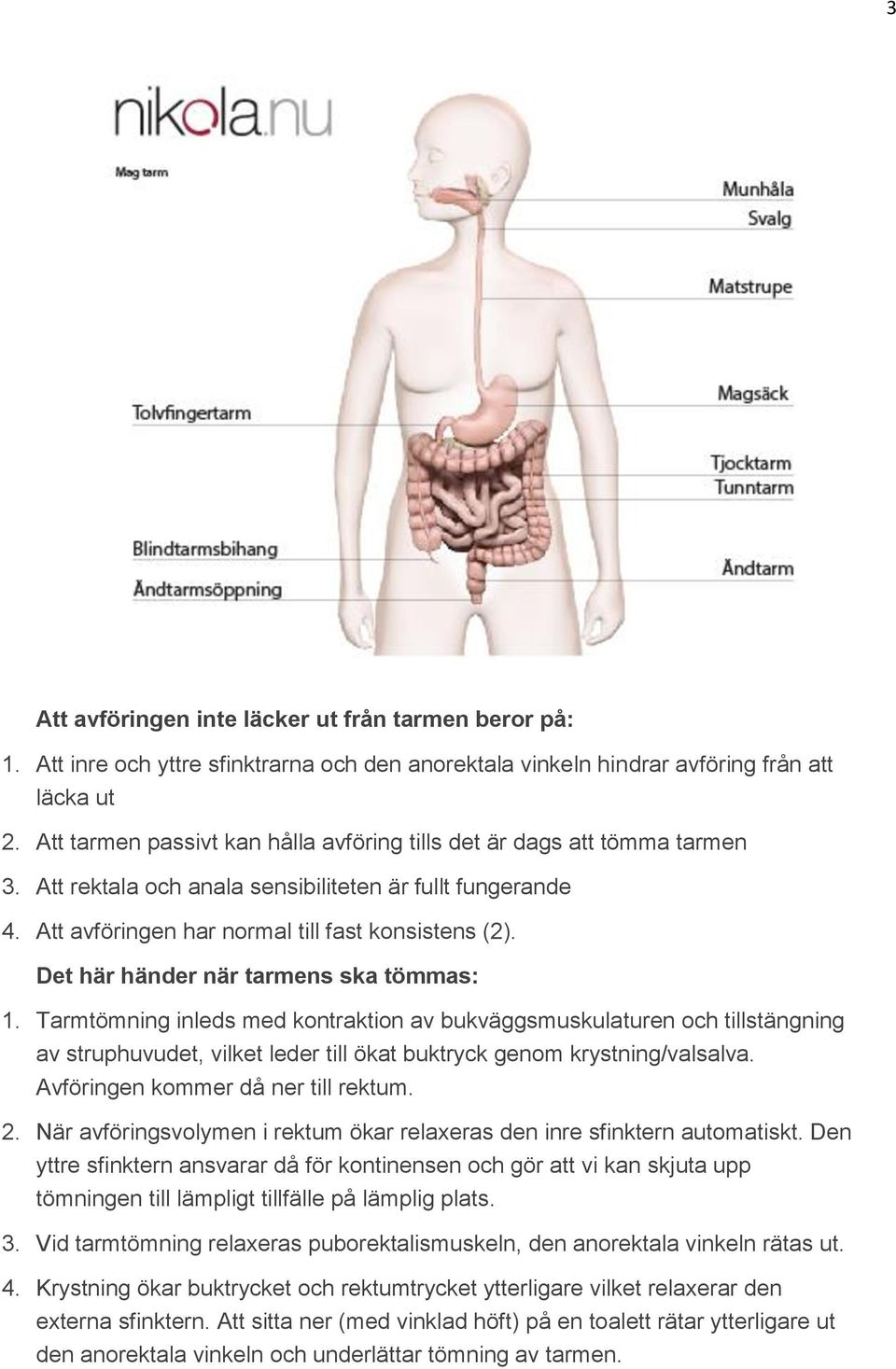 Det här händer när tarmens ska tömmas: 1. Tarmtömning inleds med kontraktion av bukväggsmuskulaturen och tillstängning av struphuvudet, vilket leder till ökat buktryck genom krystning/valsalva.