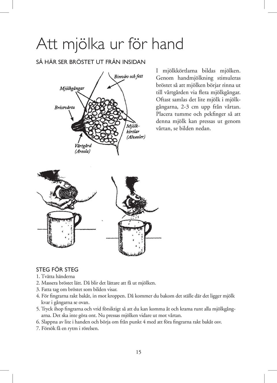 Massera bröstet lätt. Då blir det lättare att få ut mjölken. 3. Fatta tag om bröstet som bilden visar. 4. För fingrarna rakt bakåt, in mot kroppen.