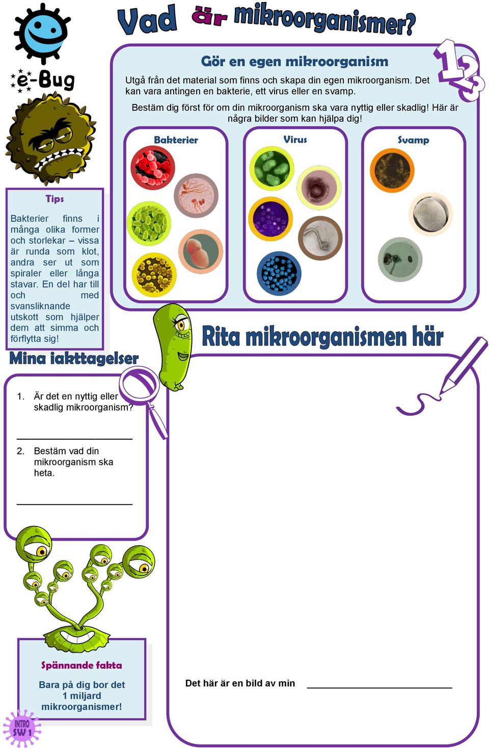 Bakterier Virus Svamp Tips Bakterier finns i många olika former och storlekar vissa är runda som klot, andra ser ut som spiraler eller långa stavar.