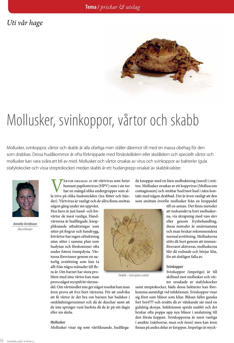 Mollusker och vårtor orsakas av virus och svinkoppor av bakterier (gula stafylokocker och vissa streptokocker) medan skabb är ett hudangrepp orsakat av skabbkvalster.