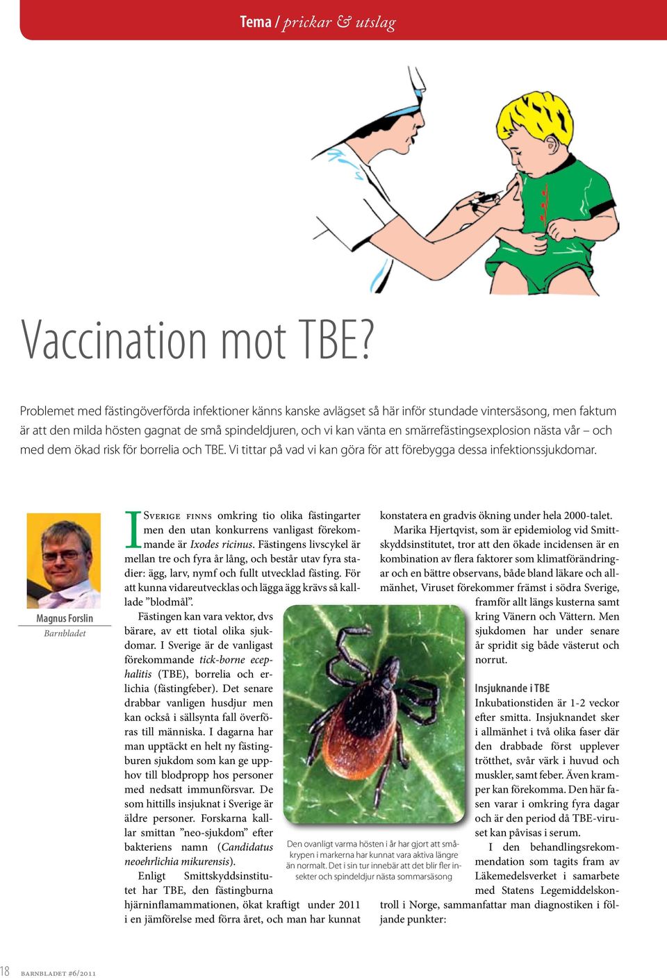 smärrefästingsexplosion nästa vår och med dem ökad risk för borrelia och TBE. Vi tittar på vad vi kan göra för att förebygga dessa infektionssjukdomar.