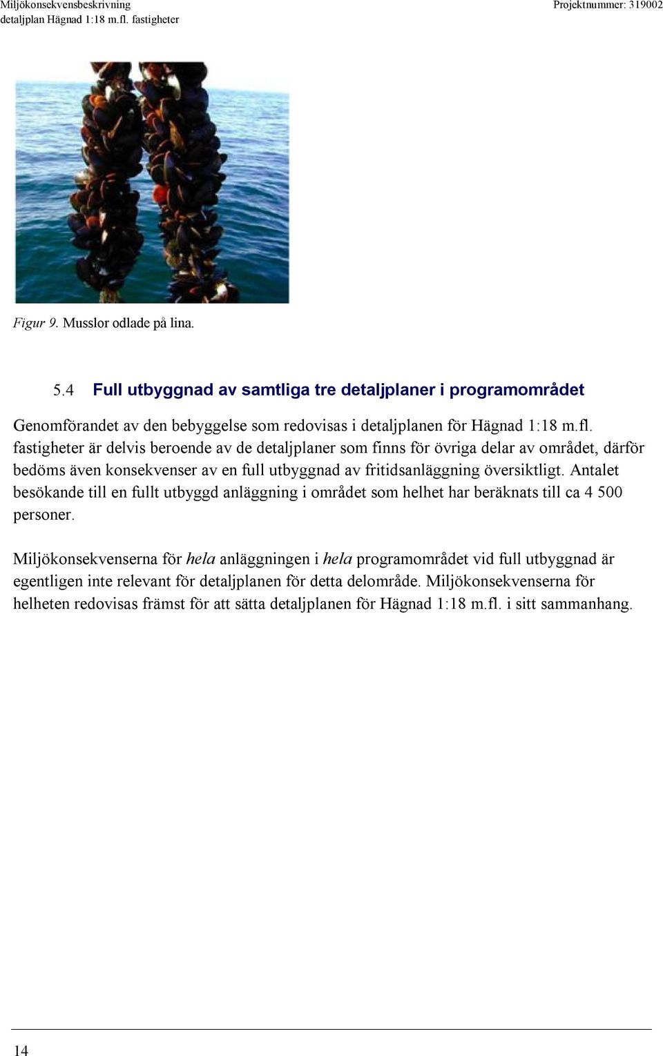Antalet besökande till en fullt utbyggd anläggning i området som helhet har beräknats till ca 4 500 personer.