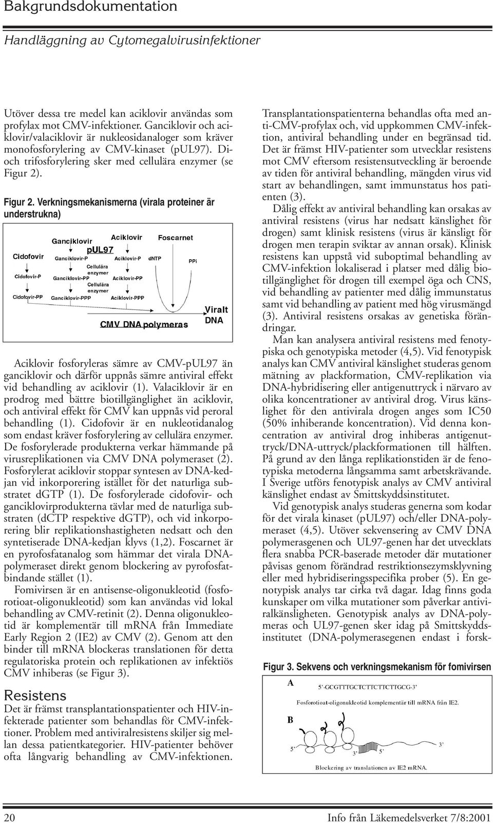 . Figur 2. Verkningsmekanismerna (virala proteiner är understrukna) Aciklovir fosforyleras sämre av CMV-pUL97 än ganciklovir och därför uppnås sämre antiviral effekt vid behandling av aciklovir (1).