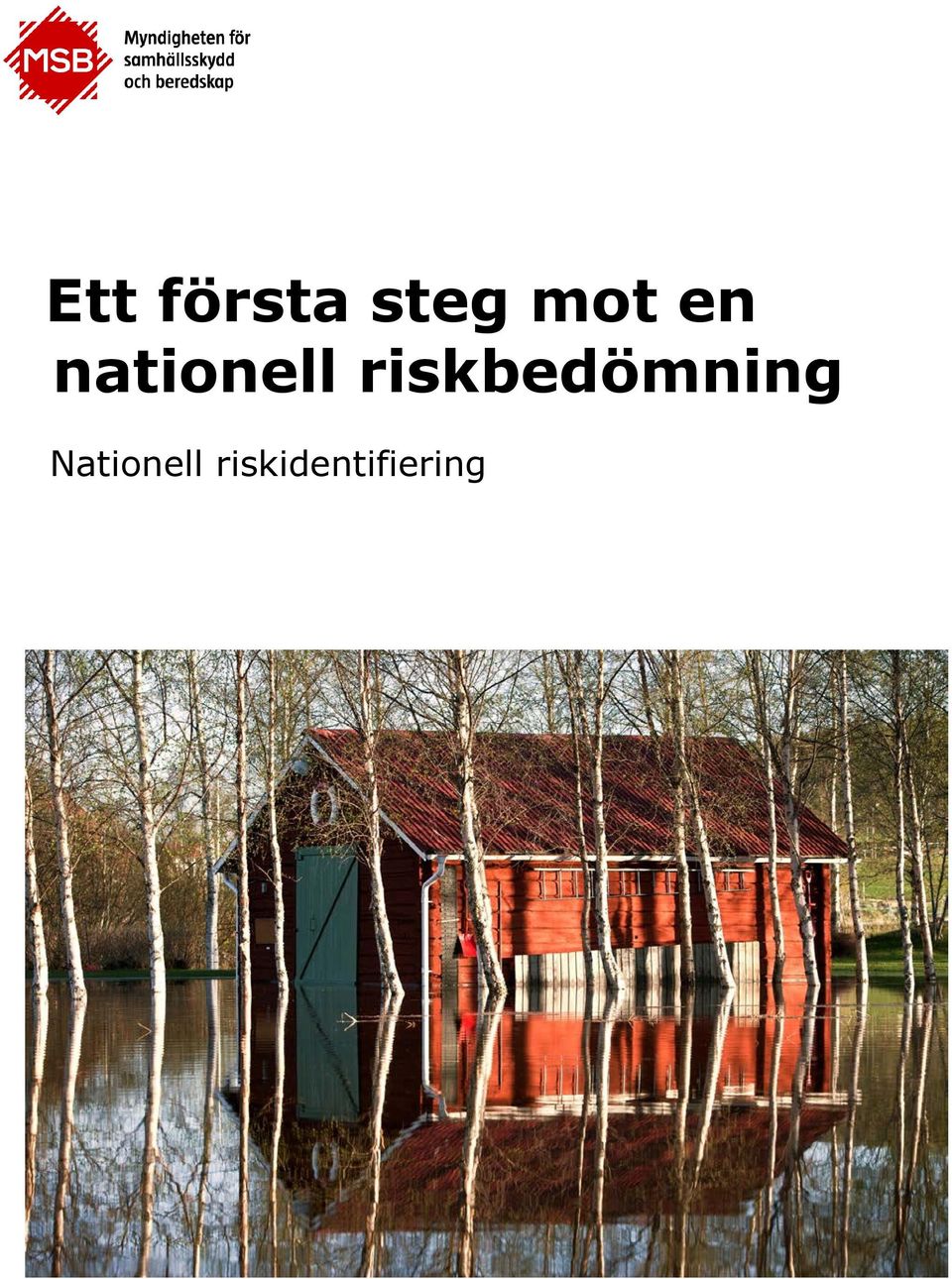 riskbedömning