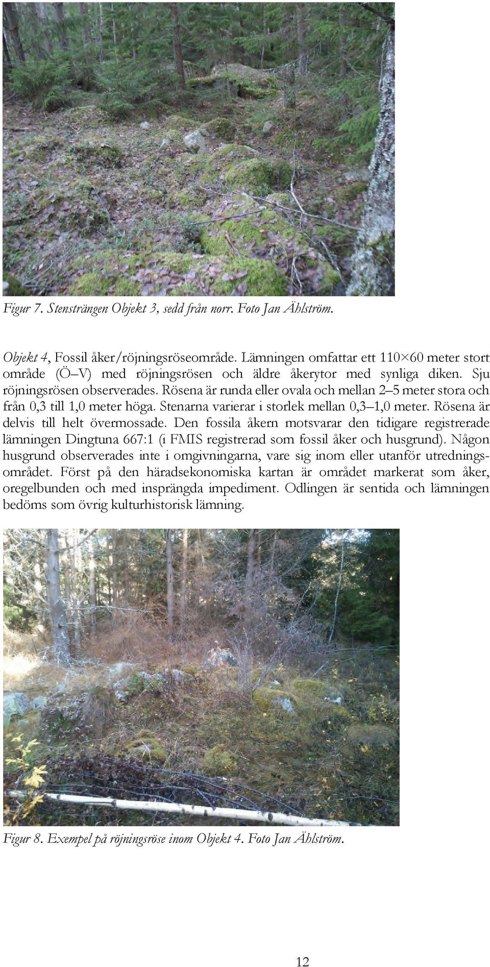 Rösena är runda eller ovala och mellan 2 5 meter stora och från 0,3 till 1,0 meter höga. Stenarna varierar i storlek mellan 0,3 1,0 meter. Rösena är delvis till helt övermossade.