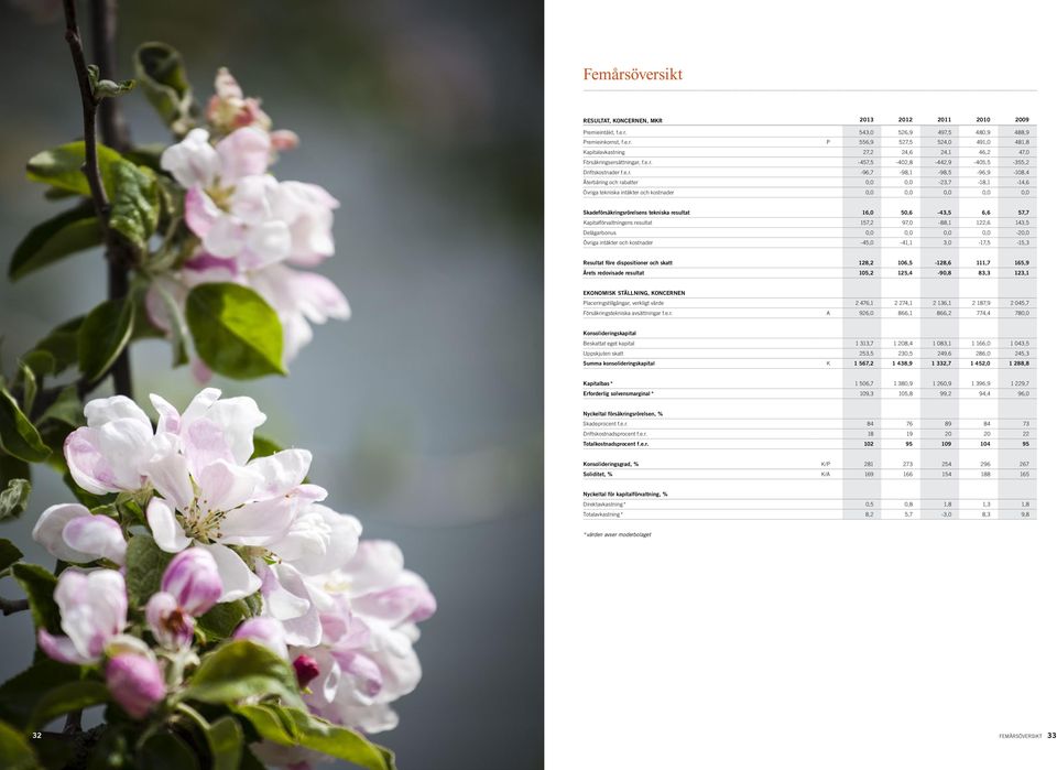 Skadeförsäkringsrörelsens tekniska resultat 16,0 50,6-43,5 6,6 57,7 Kapitalförvaltningens resultat 157,2 97,0-88,1 122,6 143,5 Delägarbonus 0,0 0,0 0,0 0,0-20,0 Övriga intäkter och kostnader