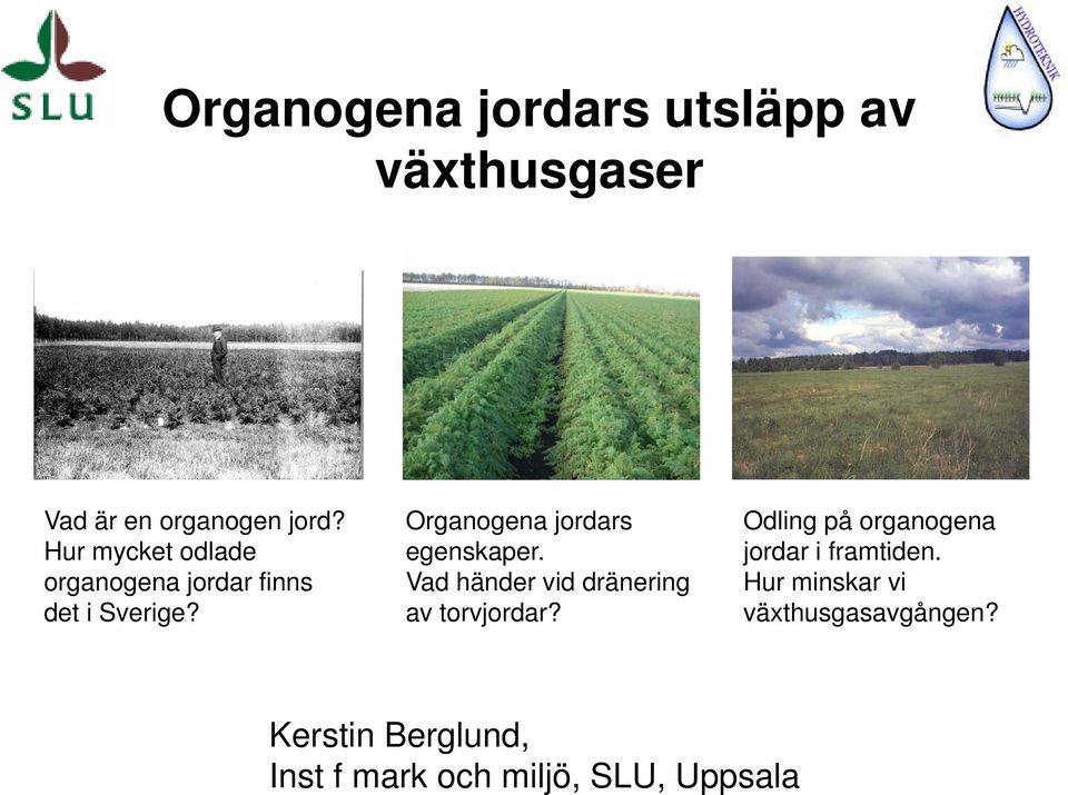 Organogena jordars egenskaper. Vad händer vid dränering av torvjordar?