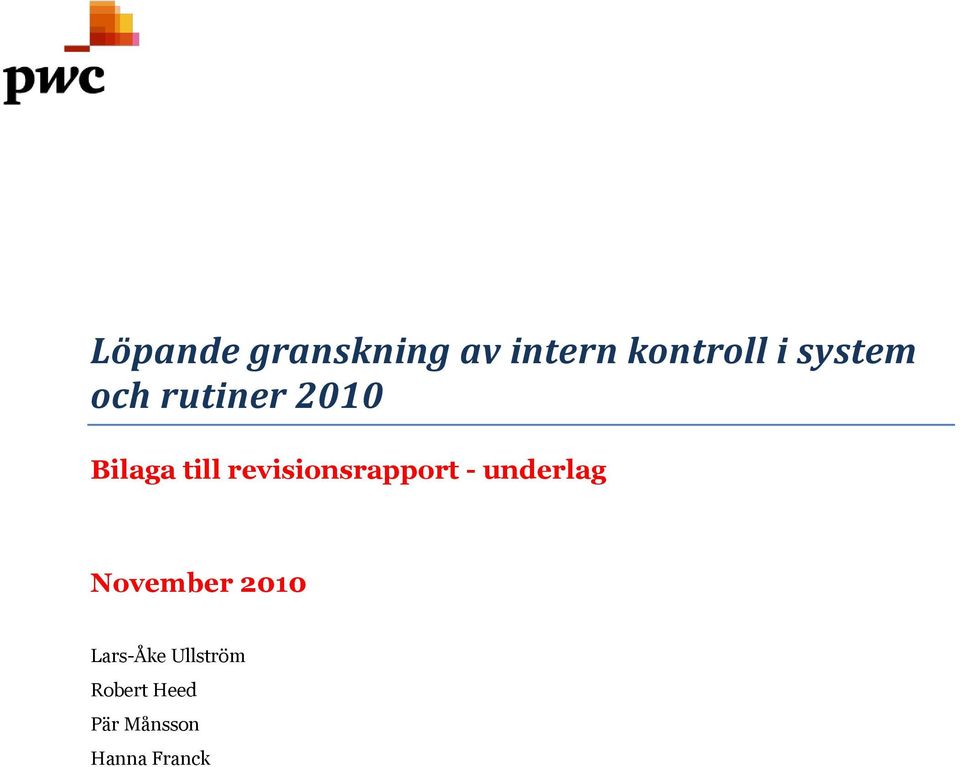 revisionsrapport - underlag November 2010