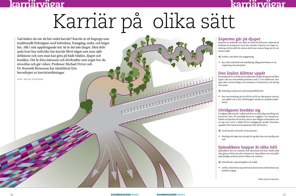 Det är dina intressen och drivkrafter som avgör hur du utvecklas och går vidare. Professor Michael Driver och Dr. Kenneth Brousseau har identifierat fyra huvudtyper av karriärinriktningar.