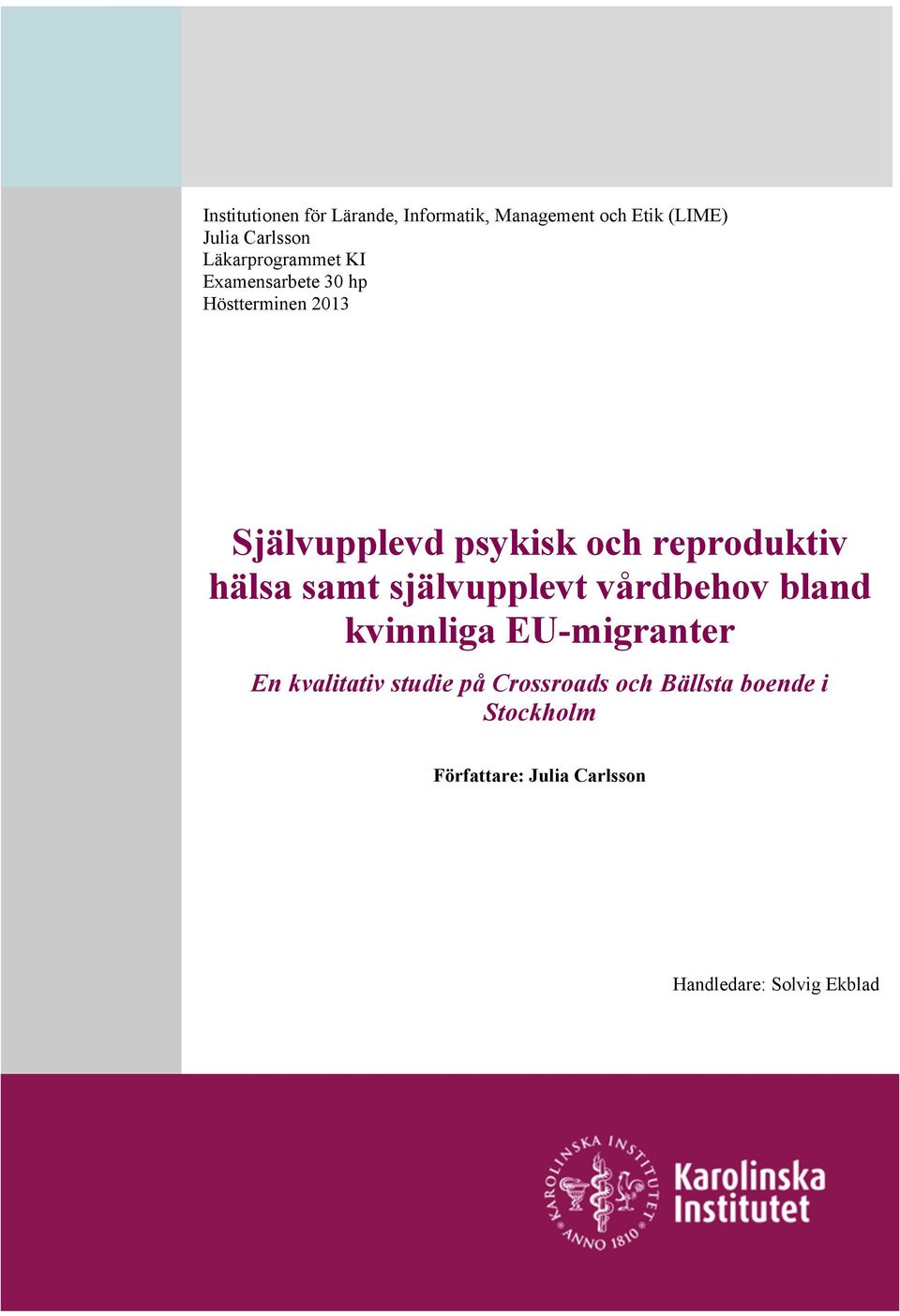 reproduktiv hälsa samt självupplevt vårdbehov bland kvinnliga EU-migranter En kvalitativ