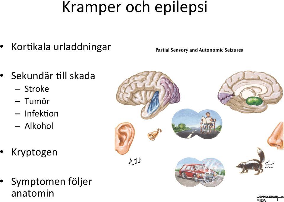 Stroke Tumör InfekNon Alkohol