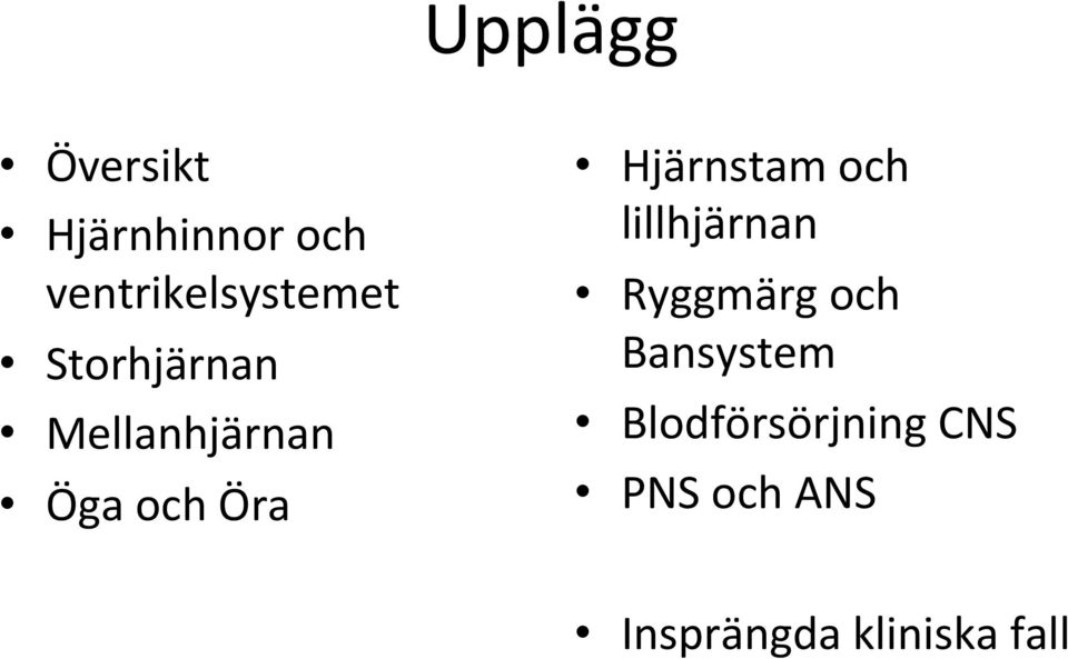 och Öra Hjärnstam och lillhjärnan Ryggmärg och