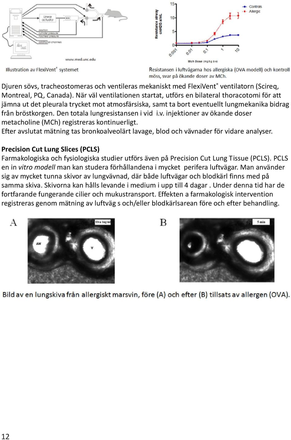 Den totala lungresistansen i vid i.v. injektioner av ökande doser metacholine (MCh) registreras kontinuerligt. Efter avslutat mätning tas bronkoalveolärt lavage, blod och vävnader för vidare analyser.