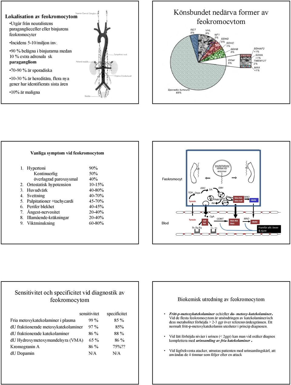 av feokromocytom Vanliga symptom vid feokromocytom 1. Hypertoni 90% Kontinuerlig 50% överlagrad paroxsysmal 40% 2. Ortostatisk hypotension 10-15% 3. Huvudvärk 40-80% 4. Svettning 40-70% 5.