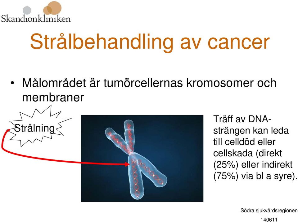 Träff av DNAsträngen kan leda till celldöd eller