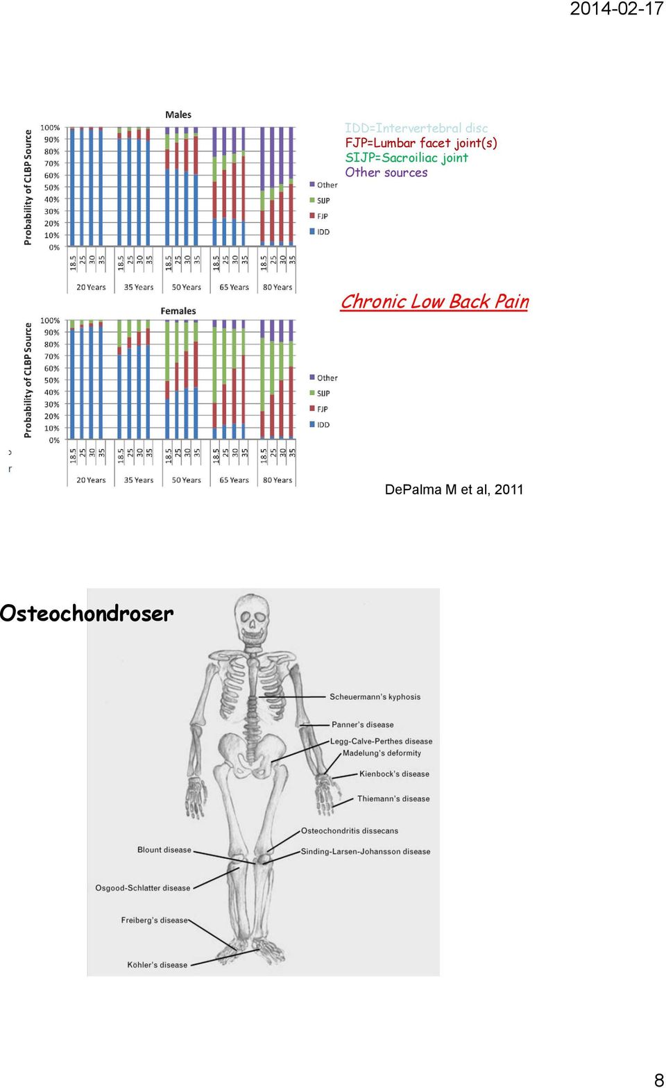 Other sources Chronic Low Back Pain