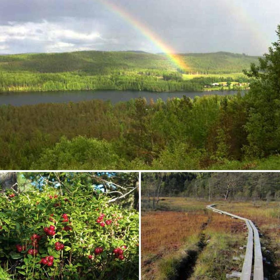 Trä, silver, järn och stål har format kommunen och påverkat dess natur, kultur och tradition.