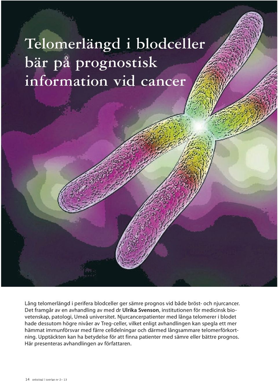 Njurcancerpatienter med långa telomerer i blodet hade dessutom högre nivåer av Treg-celler, vilket enligt avhandlingen kan spegla ett mer hämmat immunförsvar med