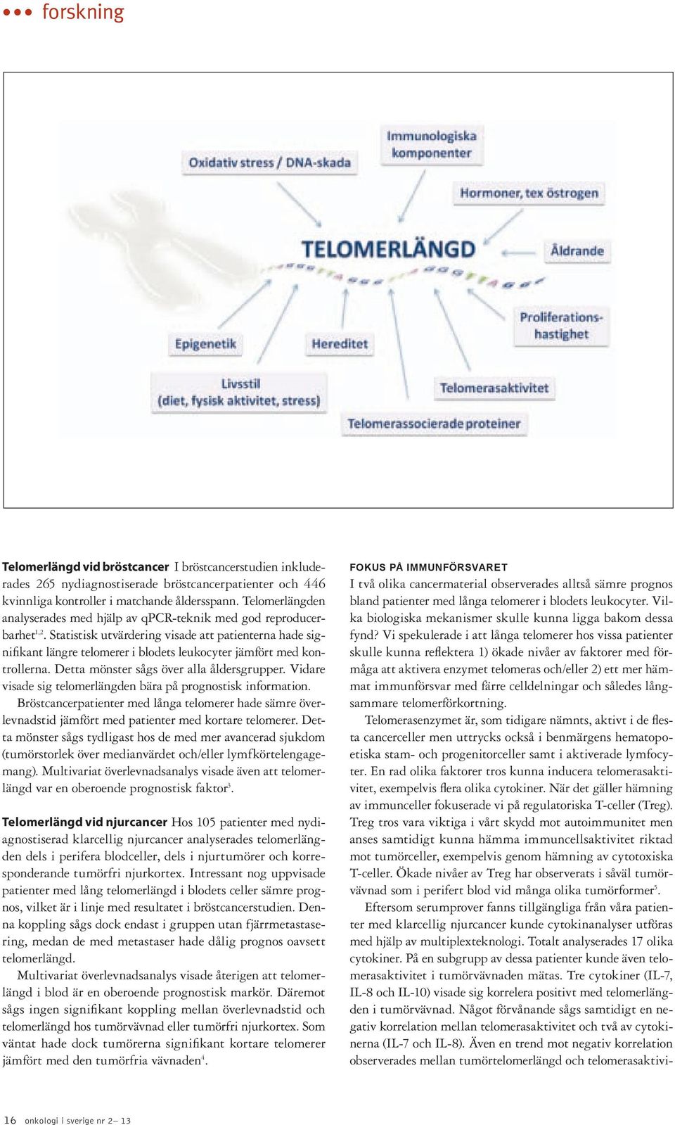 Statistisk utvärdering visade att patienterna hade signifikant längre telomerer i blodets leukocyter jämfört med kontrollerna. Detta mönster sågs över alla åldersgrupper.