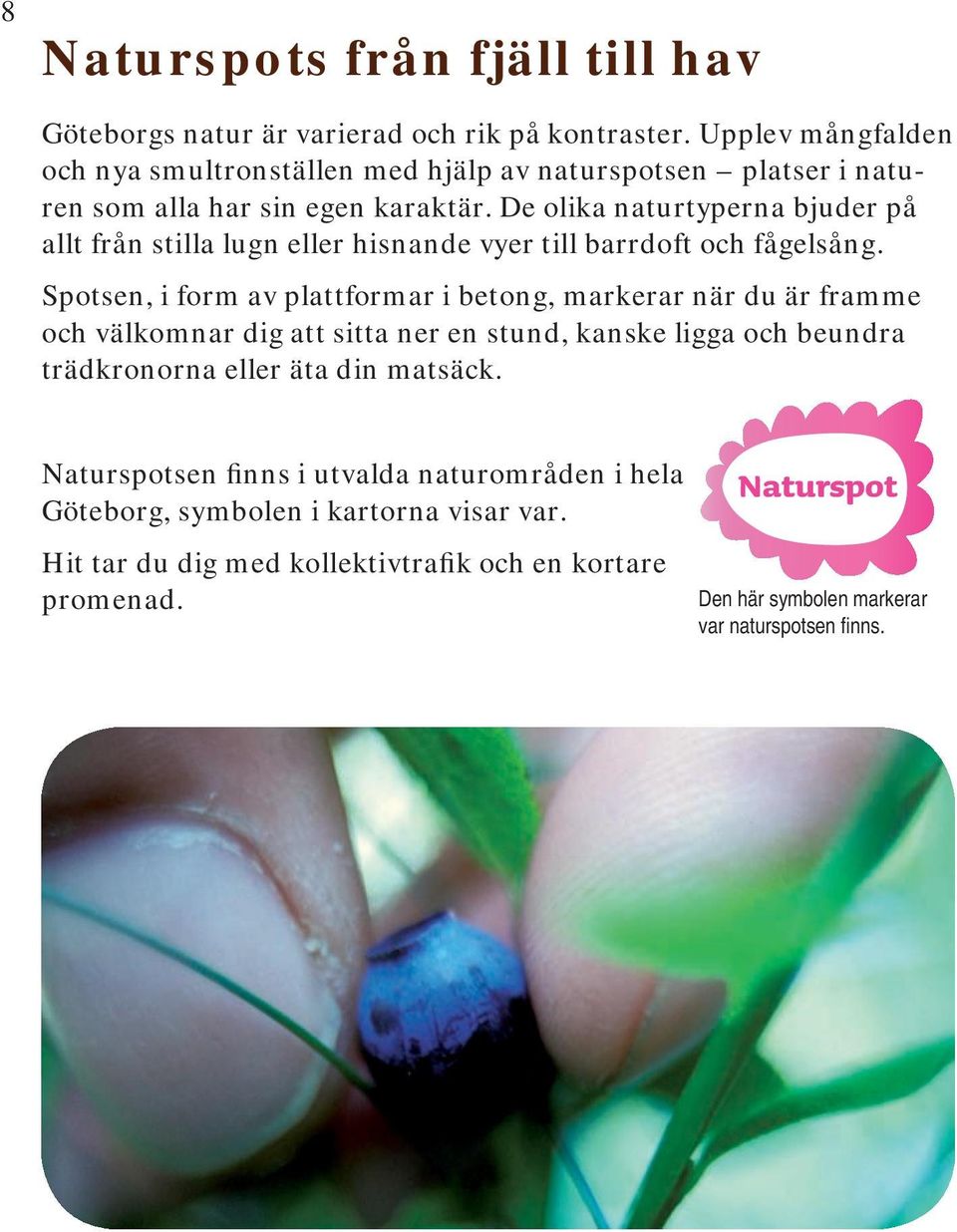 De olika naturtyperna bjuder på allt från stilla lugn eller hisnande vyer till barrdoft och fågelsång.