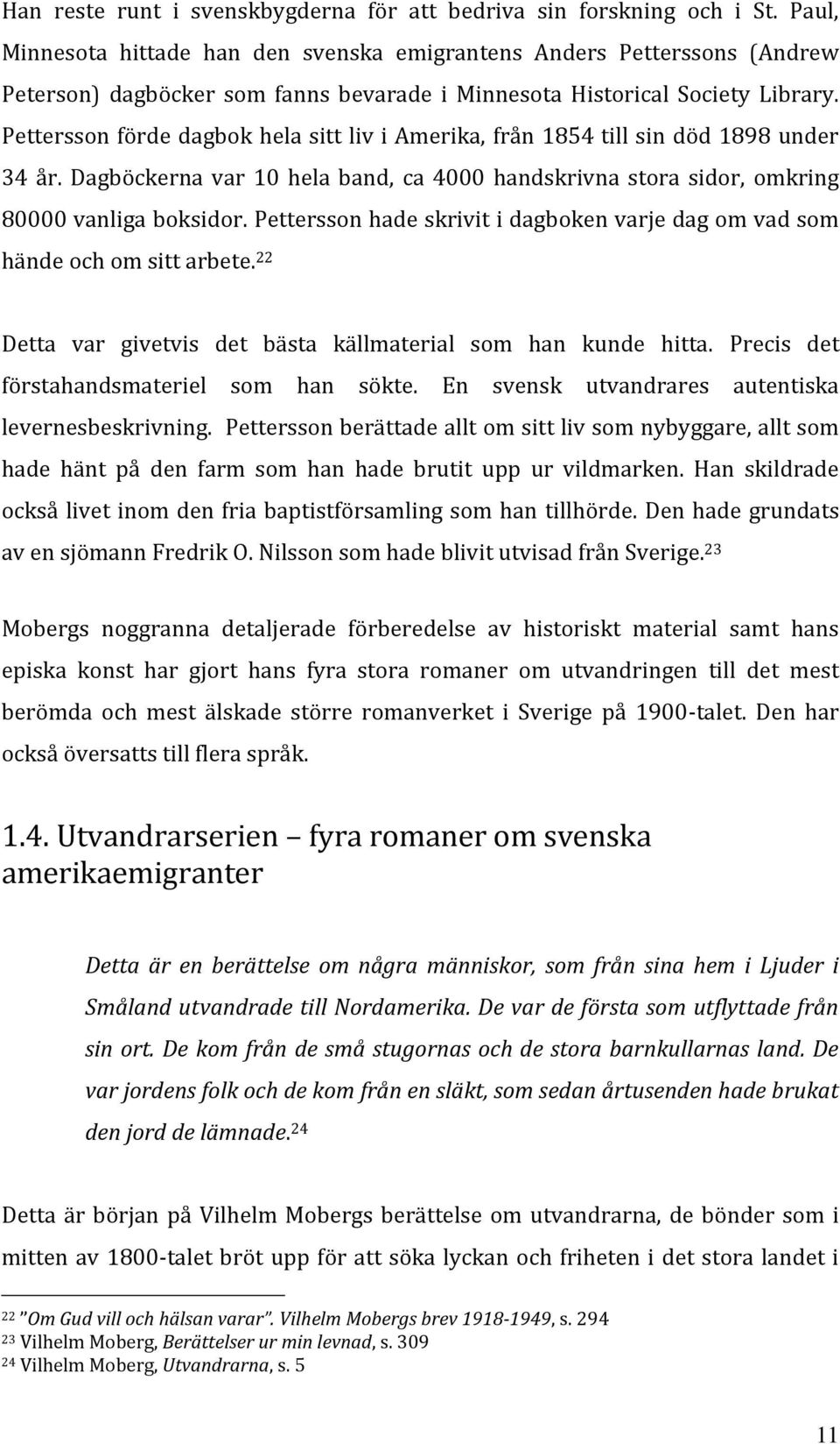 Pettersson förde dagbok hela sitt liv i Amerika, från 1854 till sin död 1898 under 34 år. Dagböckerna var 10 hela band, ca 4000 handskrivna stora sidor, omkring 80000 vanliga boksidor.