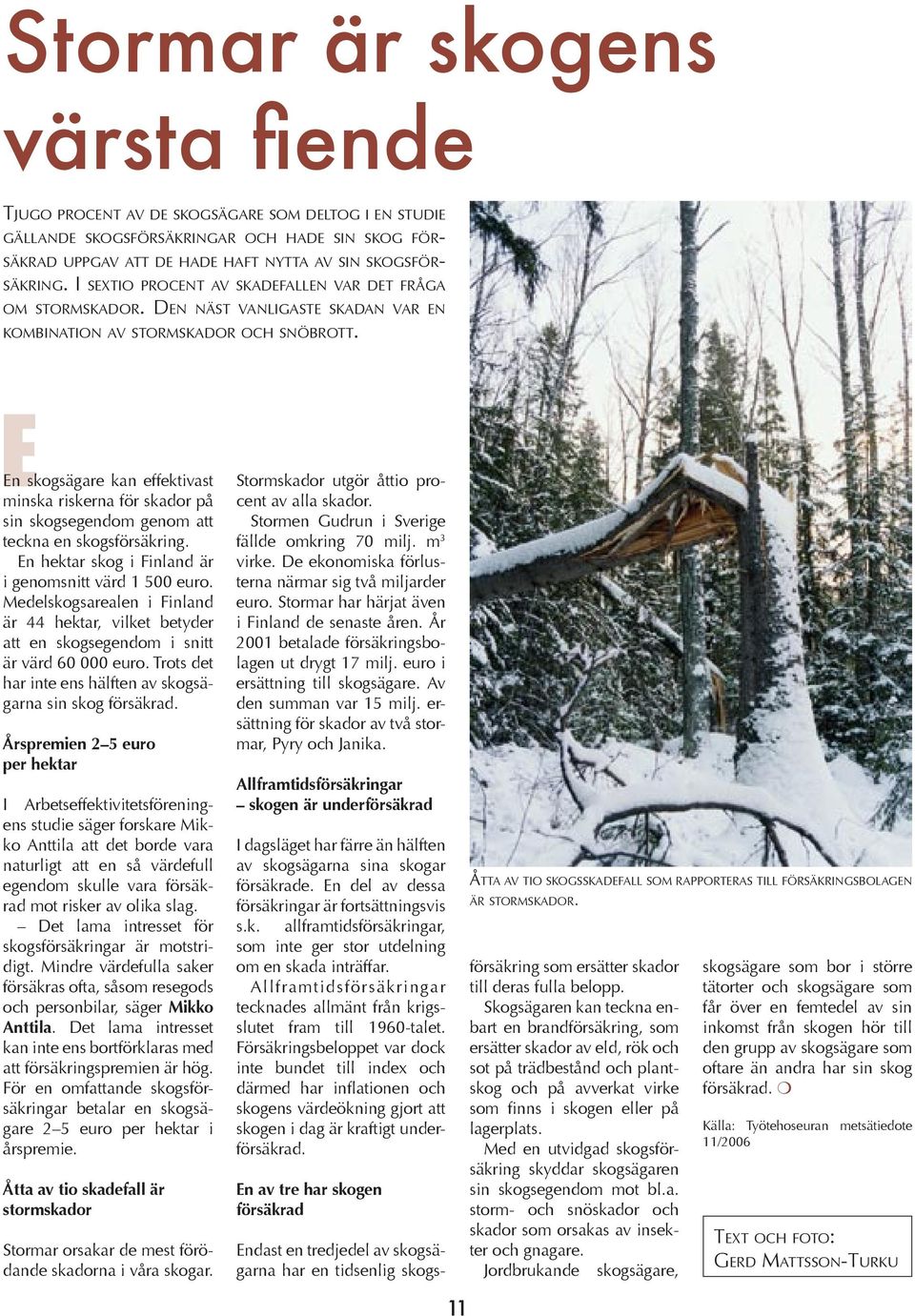 En skogsägare kan effektivast minska riskerna för skador på sin skogsegendom genom att teckna en skogsförsäkring. En hektar skog i Finland är i genomsnitt värd 1 500 euro.