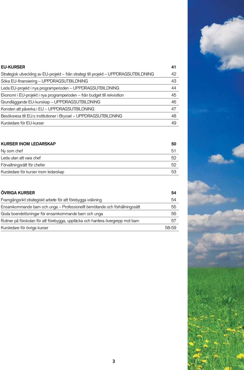 institutioner i Bryssel UPPDRAGSUTBILDNING 48 Kursledare för EU-kurser 49 KURSER INOM LEDARSKAP 50 Ny som chef 51 Leda utan att vara chef 52 Förvaltningsrätt för chefer 52 Kursledare för kurser inom