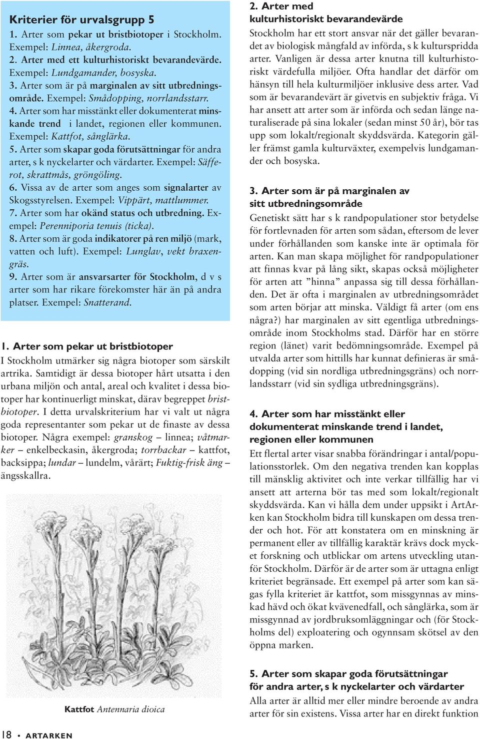 Exempel: Kattfot, sånglärka. 5. Arter som skapar goda förutsättningar för andra arter, s k nyckelarter och värdarter. Exempel: Säfferot, skrattmås, gröngöling. 6.