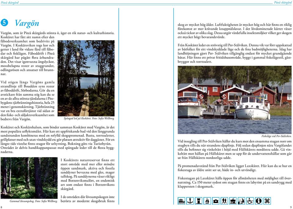 Det visar igenvuxna ängslyckor, mossbelupna rester av stuggrunder, odlingsrösen och ansatser till brunnnar. skog av mycket hög ålder.