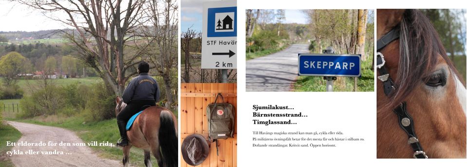 .. Till Havängs magiska strand kan man gå, cykla eller rida.