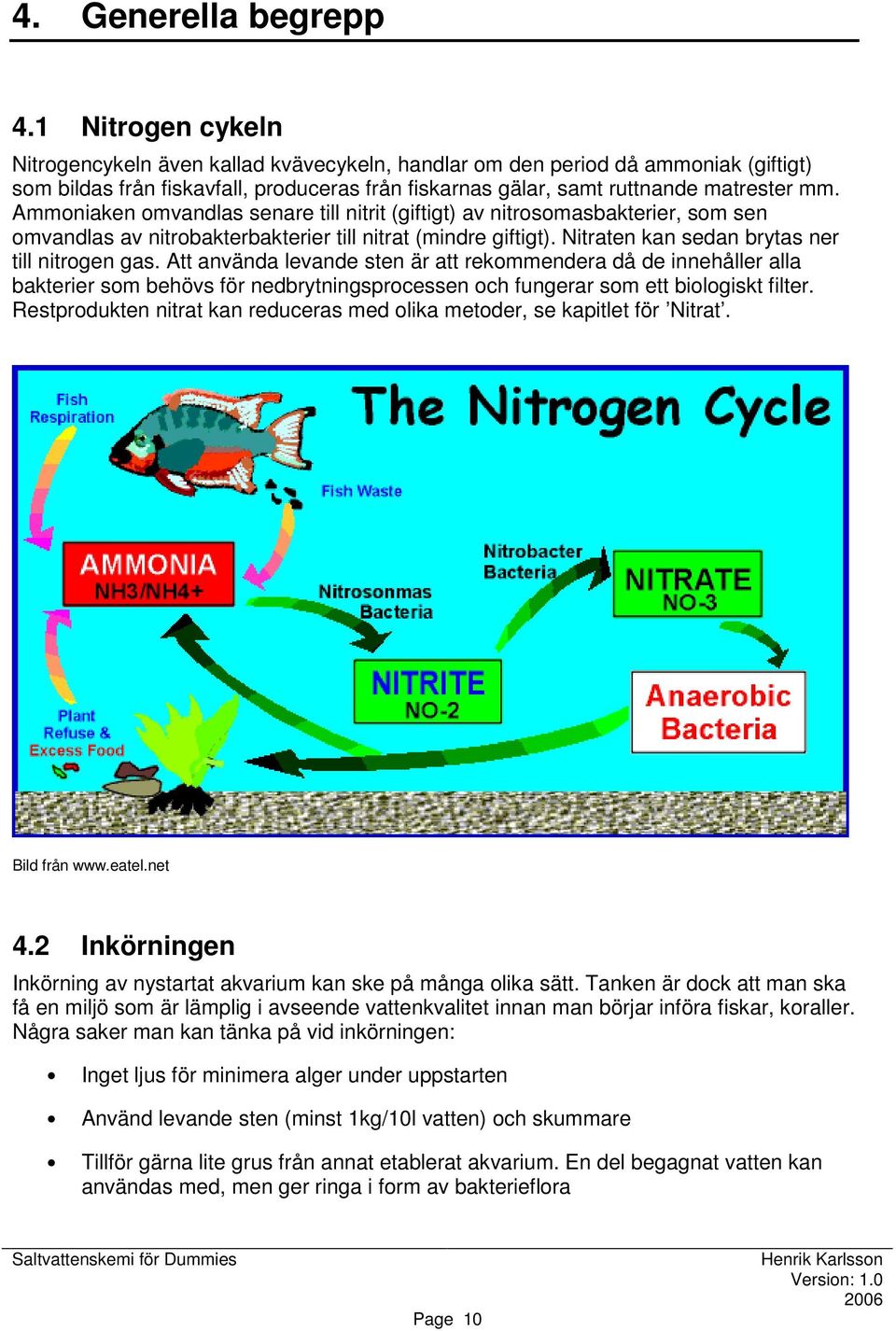 Ammoniaken omvandlas senare till nitrit (giftigt) av nitrosomasbakterier, som sen omvandlas av nitrobakterbakterier till nitrat (mindre giftigt). Nitraten kan sedan brytas ner till nitrogen gas.