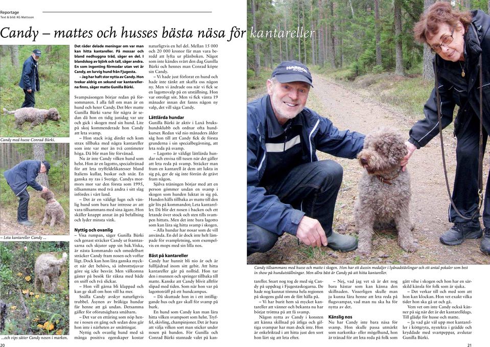 En som ingenting förmodar utan vet är Candy, en lurvig hund från Fjugesta. Jag har haft stor nytta av Candy. Hon tvekar aldrig en sekund var kantarellerna finns, säger matte Gunilla Bürki.