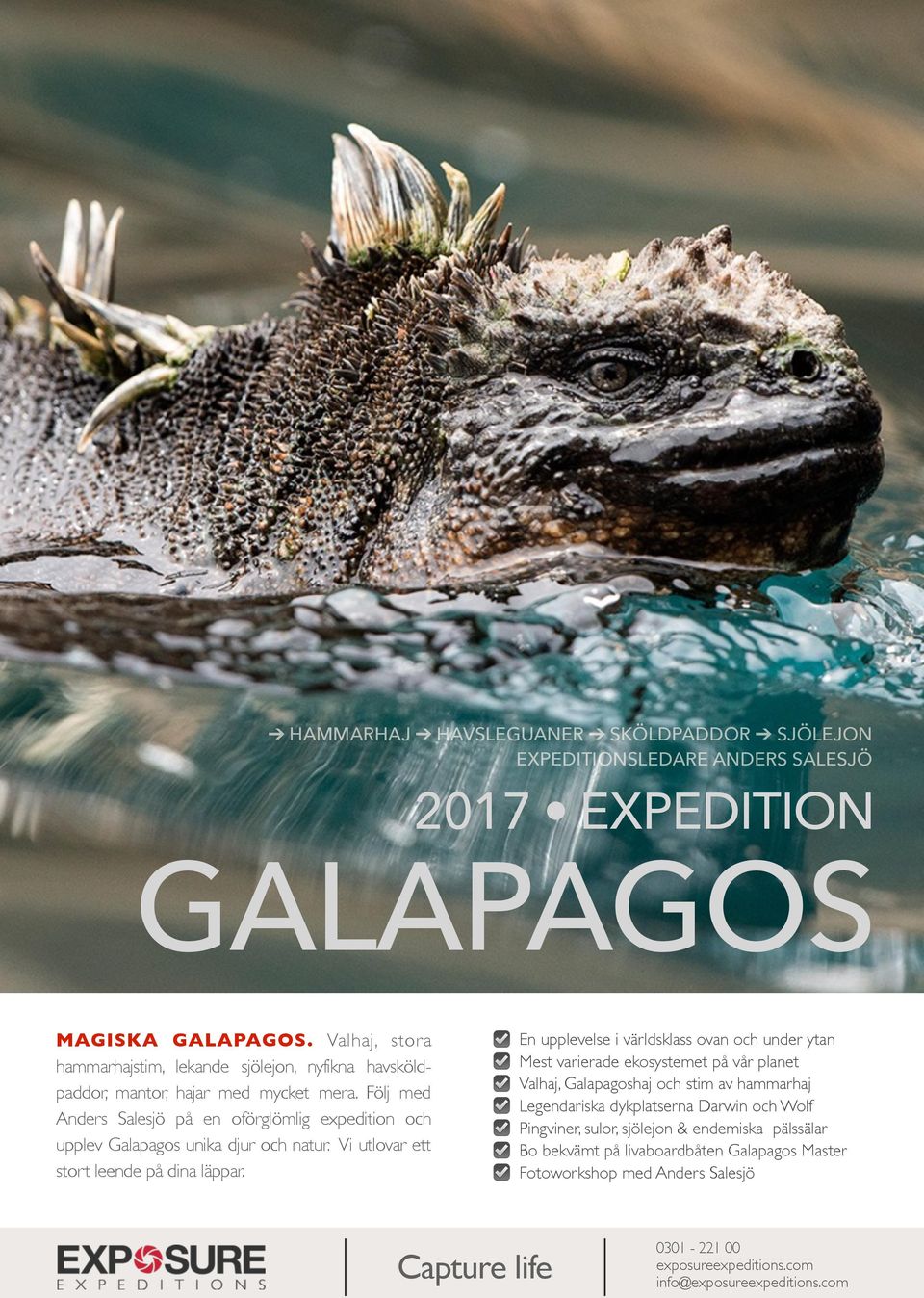 Följ med Anders Salesjö på en oförglömlig expedition och upplev Galapagos unika djur och natur. Vi utlovar ett stort leende på dina läppar.