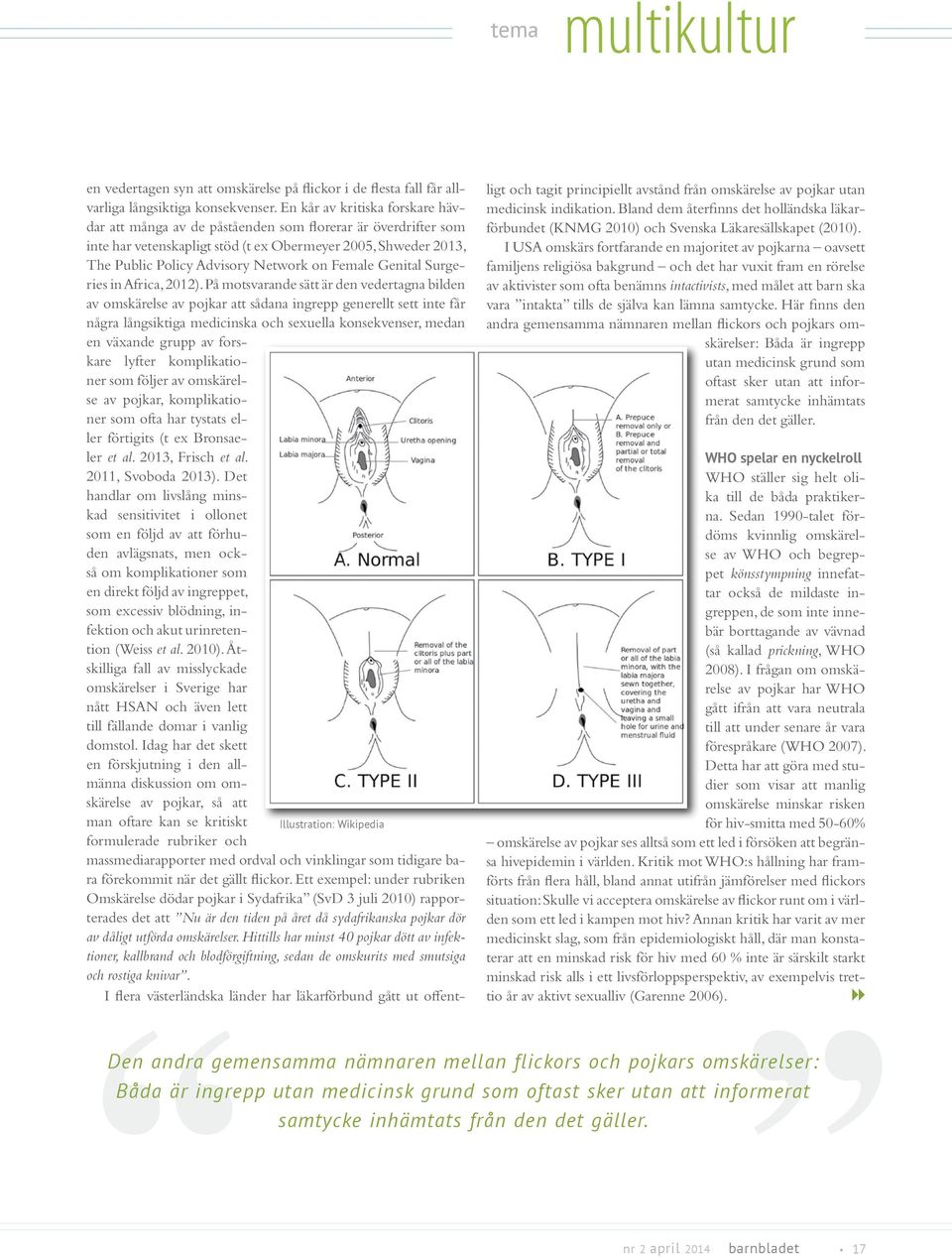 Female Genital Surgeries in Africa, 2012).