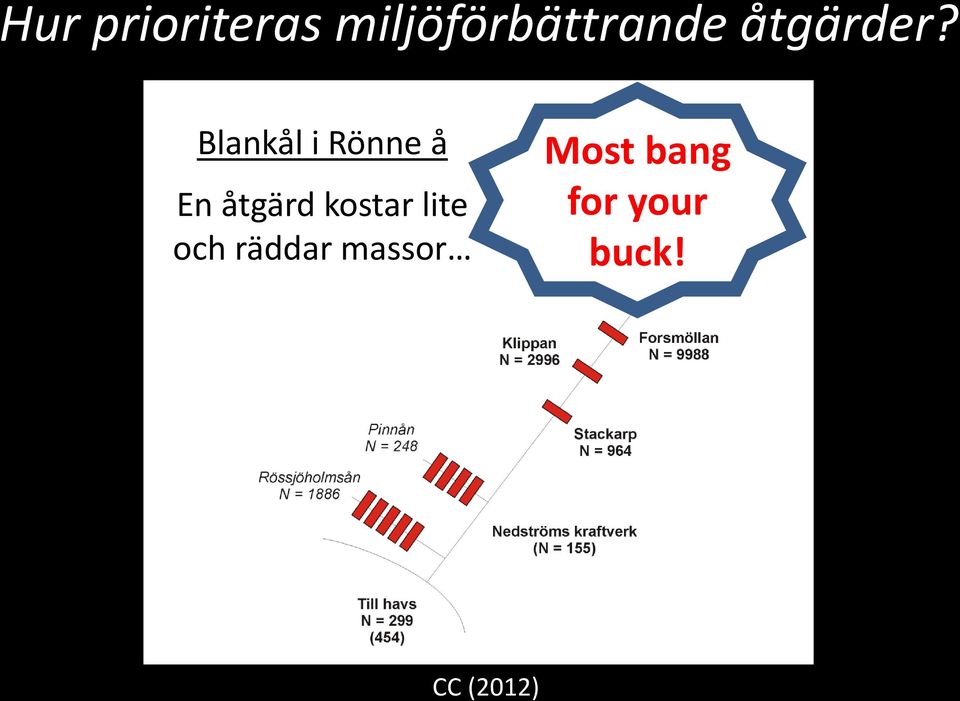 Blankål i Rönne å En åtgärd