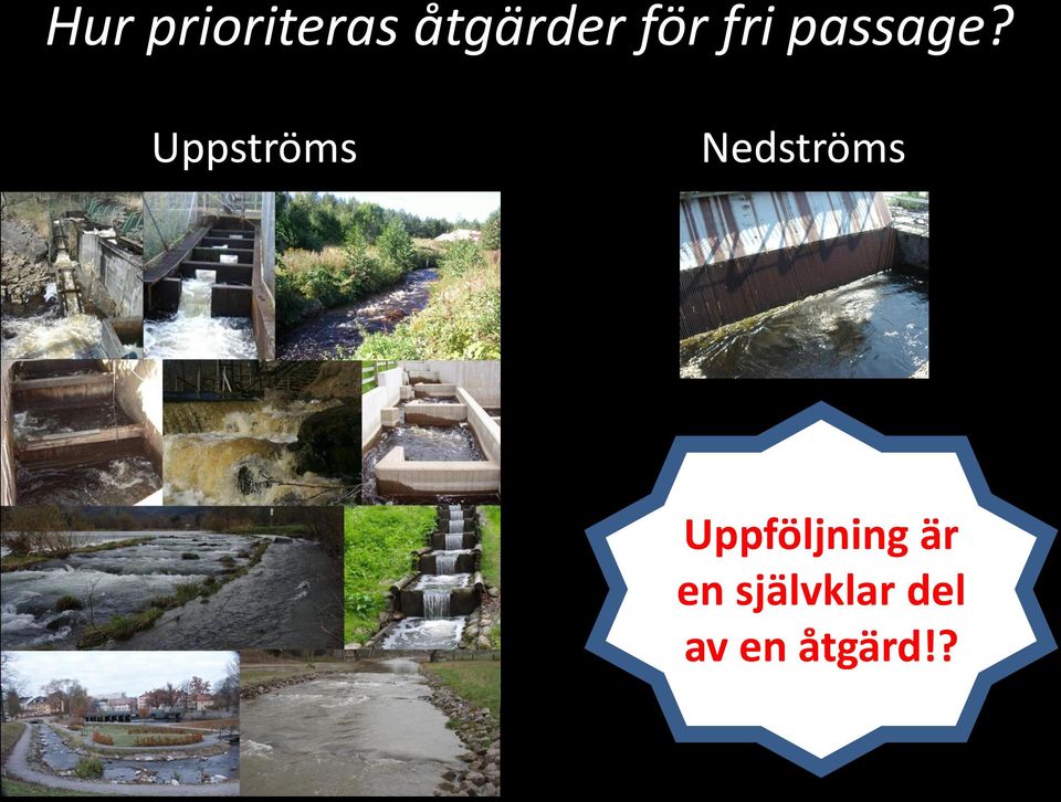 Uppströms Nedströms?