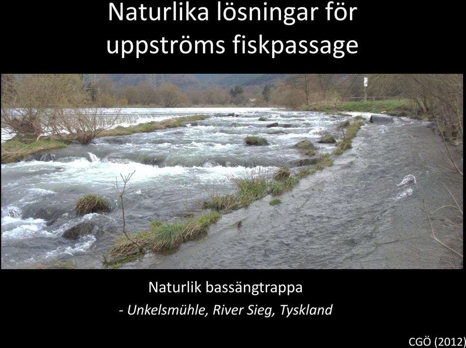 Naturlik bassängtrappa -