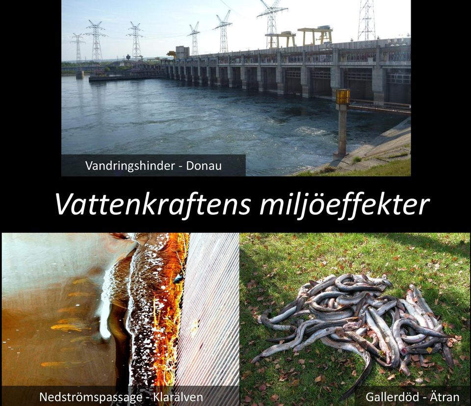 Ätran Vandringshinder -