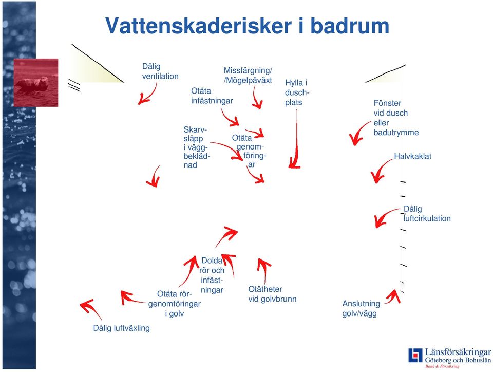 Fönster vid dusch eller badutrymme Halvkaklat Dålig luftcirkulation Dålig luftväxling