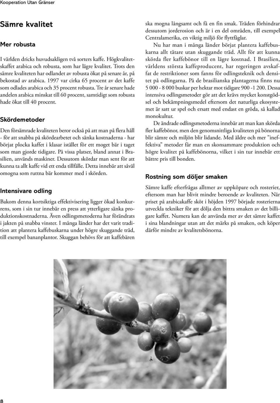 Tre år senare hade andelen arabica minskat till 60 procent, samtidigt som robusta hade ökat till 40 procent.