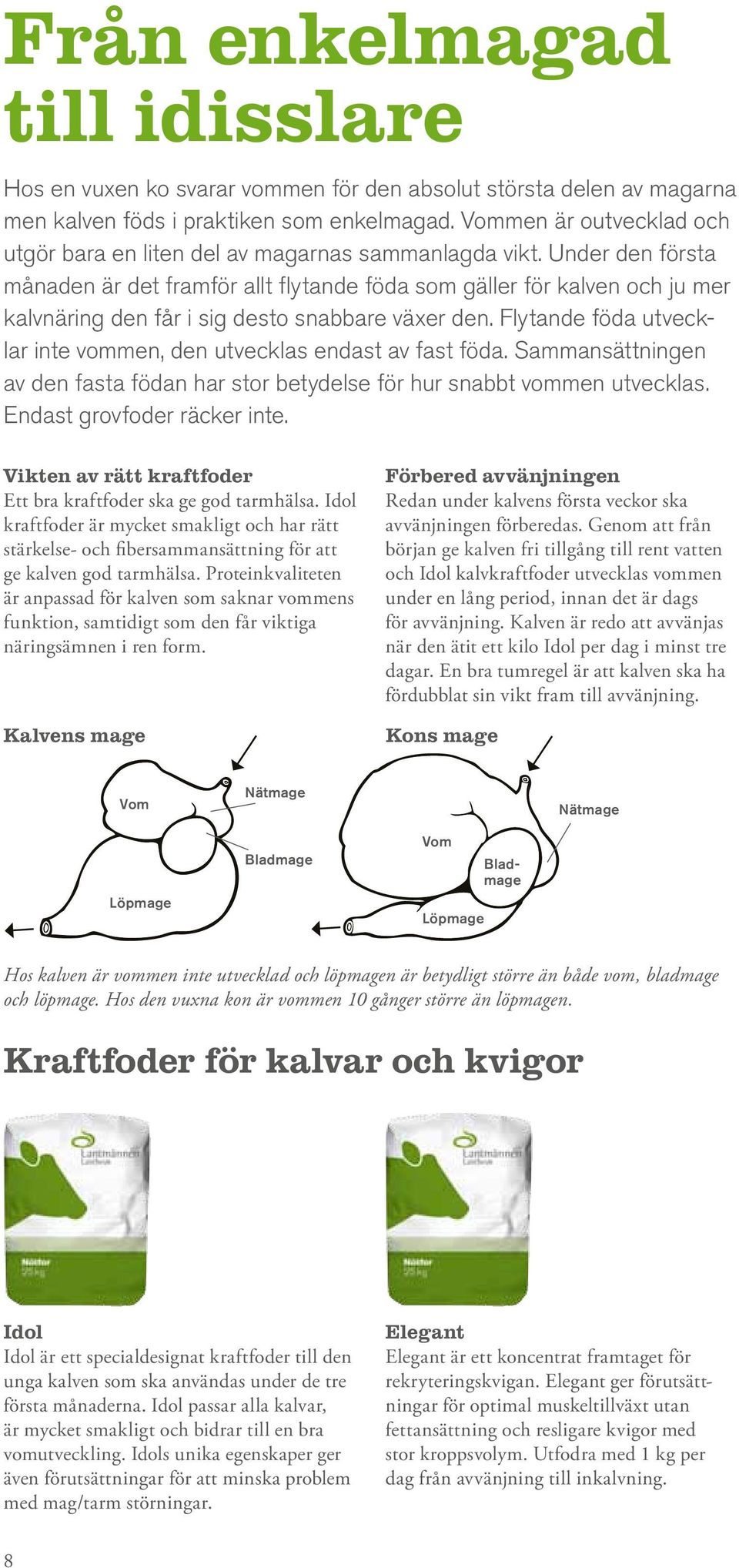 Under den första månaden är det framför allt flytande föda som gäller för kalven och ju mer kalvnäring den får i sig desto snabbare växer den.