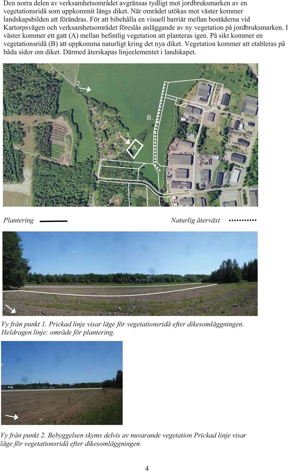 I väster kommer ett gatt (A) mellan befintlig vegetation att planteras igen. På sikt kommer en vegetationsridå (B) att uppkomma naturligt kring det nya diket.