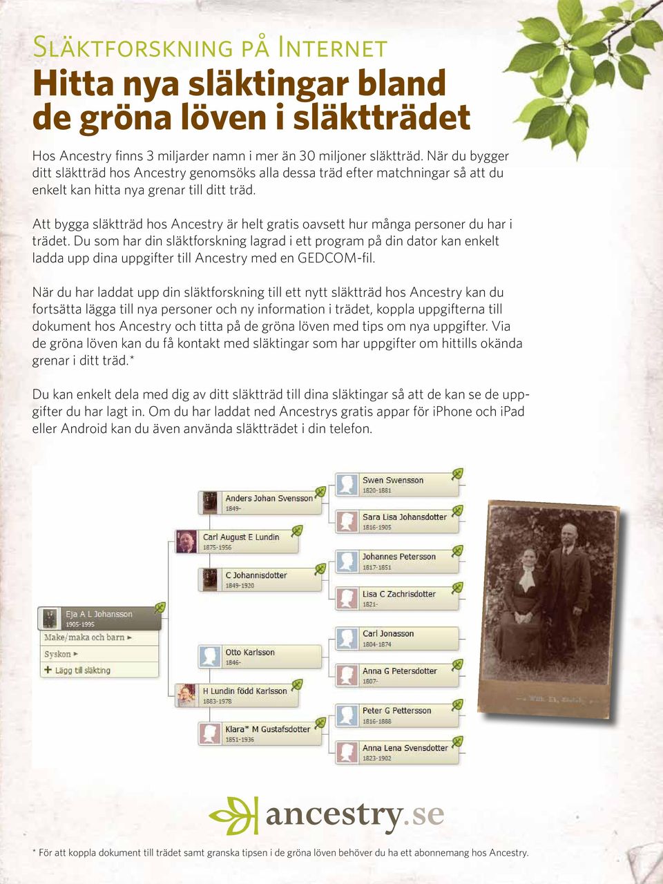 Att bygga släktträd hos Ancestry är helt gratis oavsett hur många personer du har i trädet.