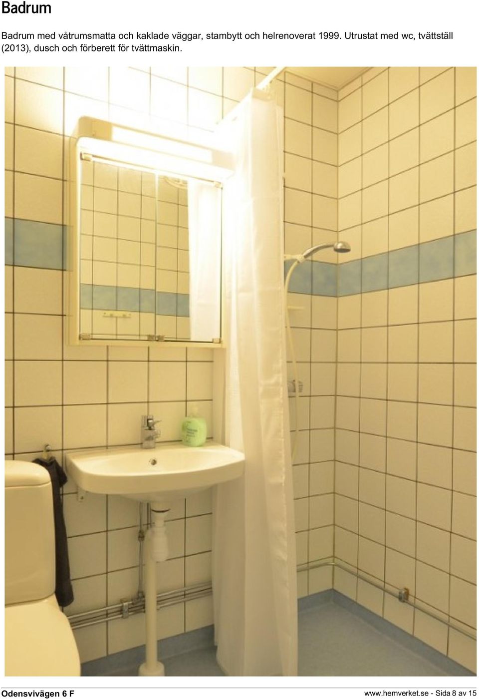 Utrustat med wc, tvättställ (2013), dusch och