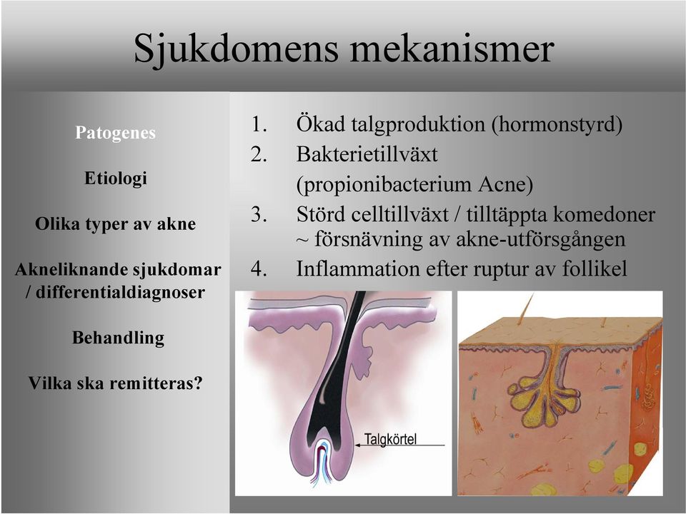 Bakterietillväxt (propionibacterium Acne) 3.