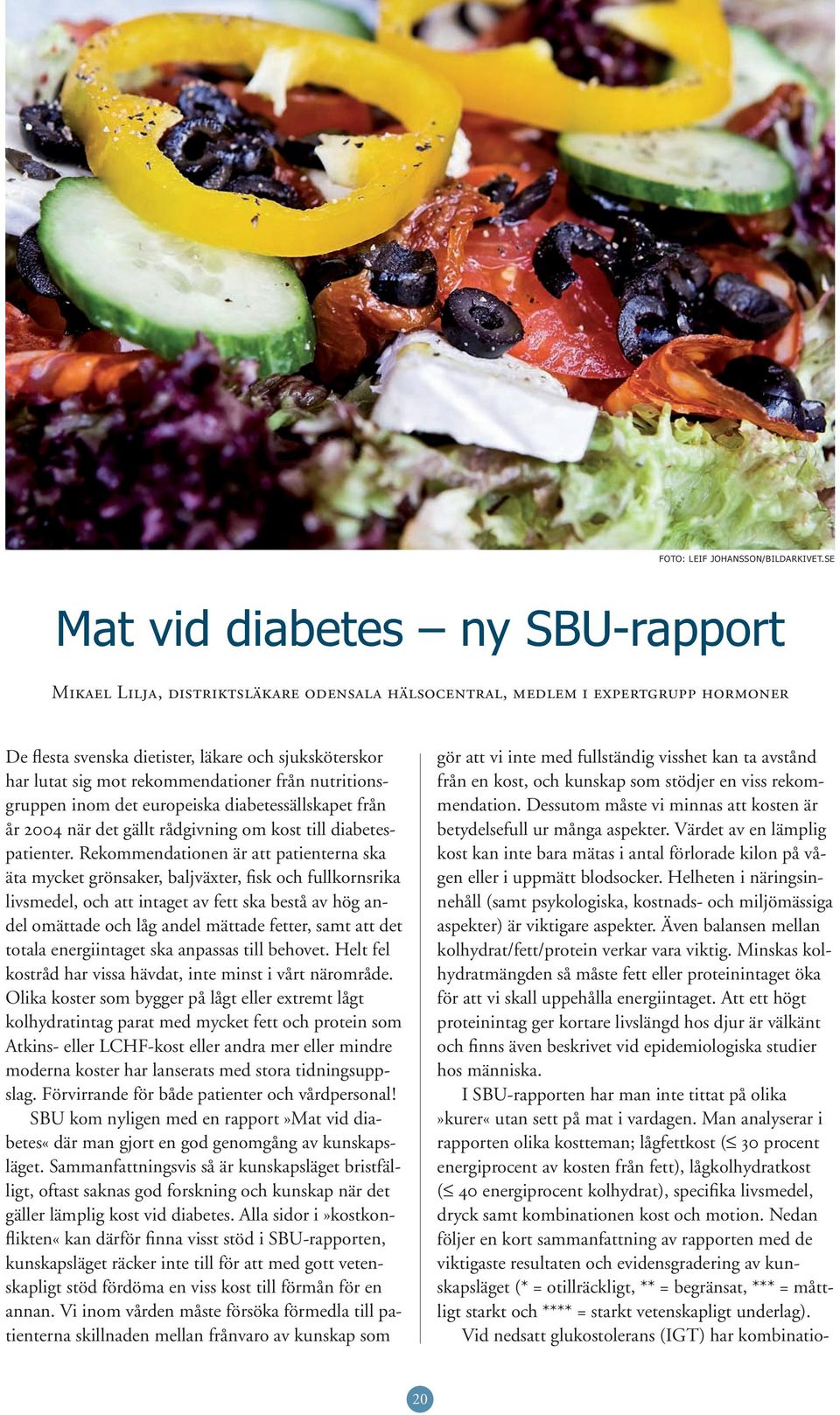 rekommendationer från nutritionsgruppen inom det europeiska diabetessällskapet från år 2004 när det gällt rådgivning om kost till diabetespatienter.