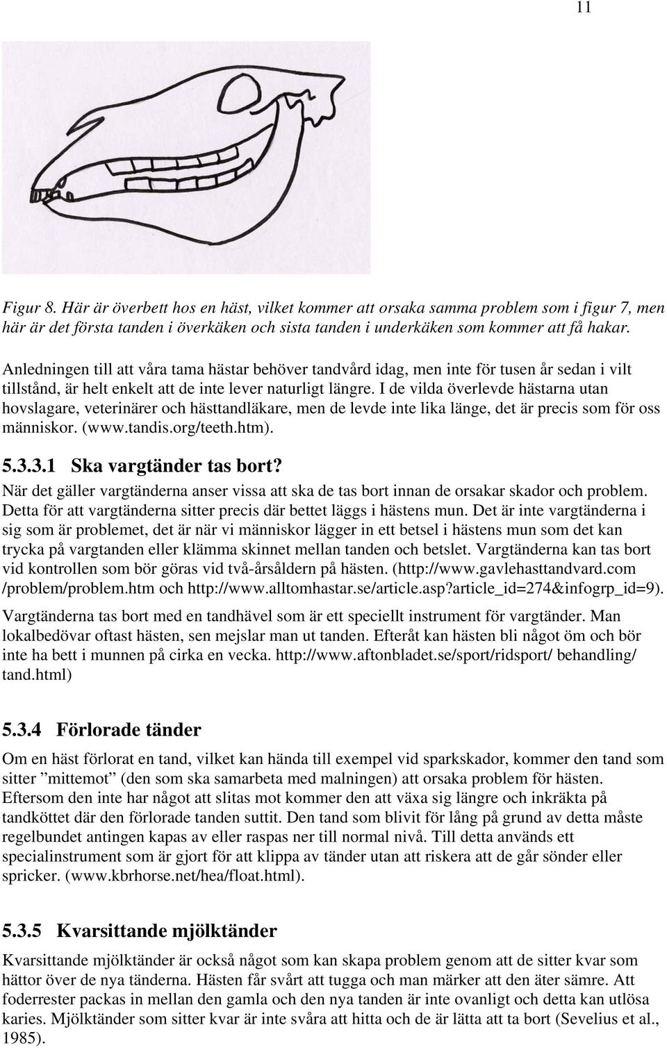 I de vilda överlevde hästarna utan hovslagare, veterinärer och hästtandläkare, men de levde inte lika länge, det är precis som för oss människor. (www.tandis.org/teeth.htm). 5.3.